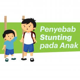 PENYEBAB STUNTING