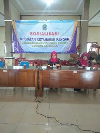 BUDIDAYA TANAMAN OBAT KELUARGA ( TOGA )